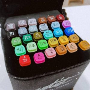 12 rotuladores Color Experience Dual Artist Alpino